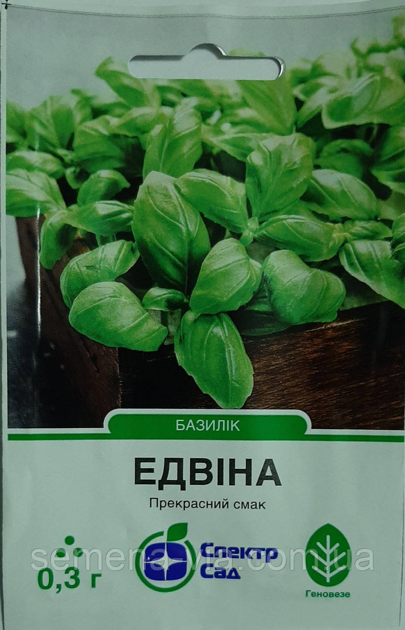 Базилік Едвіна (0,3г.) ТМ Спектр Сад