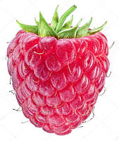 МАЛИНОВЕ ДЕРЕВО