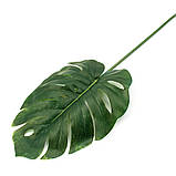 Штучне листя Engard Monstera, 74 см (TW-06), фото 4
