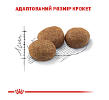 Корм для дорослих стерилізованих котів ROYAL CANIN STERILISED 0.4 кг, фото 5