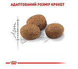 Корм для дорослих стерилізованих котів ROYAL CANIN STERILISED 7+ (віком від 7 років) 1.5 кг, фото 5