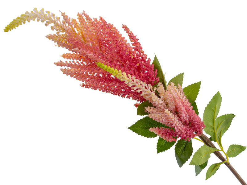 Астильба фуксія 86 см, фото 1