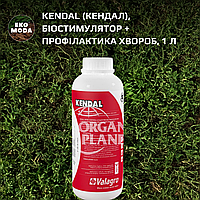 Kendal (Кендал), Біостимулятор + Профілактика хвороб, 1л, Valagro