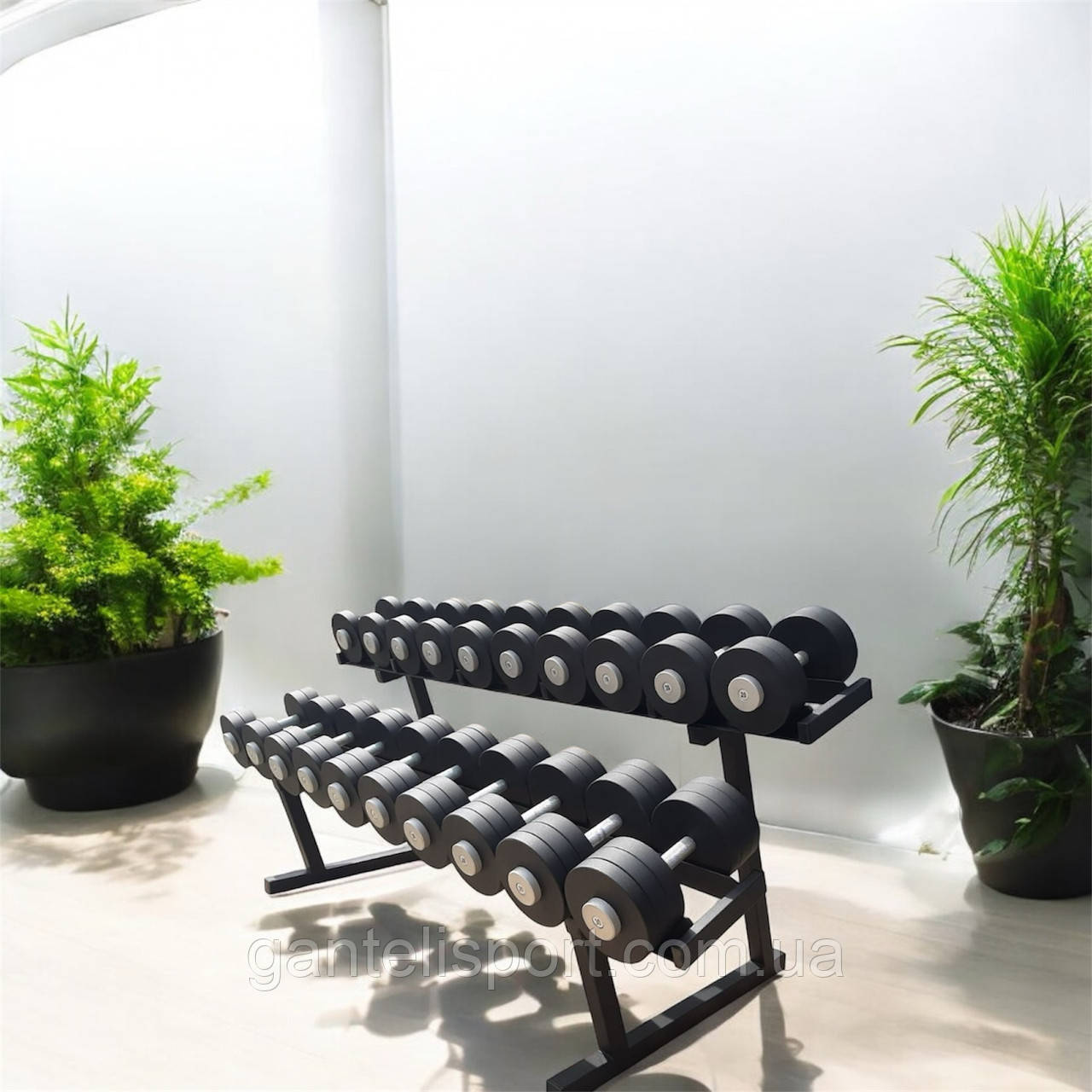 Гантельний ряд 12-40 кг, фото 1