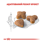 Корм для дорослих котів з чутливою травною системою ROYAL CANIN SENSIBLE 0.4 кг, фото 5