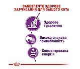 Корм для дорослих котів з чутливою травною системою ROYAL CANIN SENSIBLE 0.4 кг, фото 4