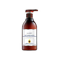 Шампунь для глибокого очищення жирної шкіри голови Deep Cleansing Saryna Key, 300мл (sk29552)