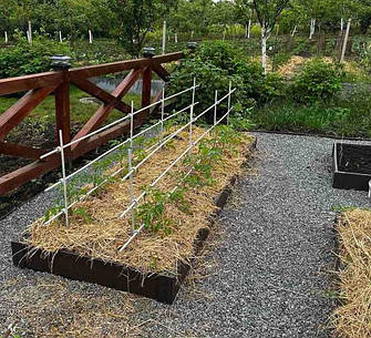 Грядки висотою 160 мм - в одну дошку - без обрамлення