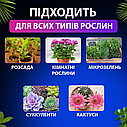 Світлодіодна Фітострічка для кімнатних рослин IP65, 12 В, 5 метрів, від 220 вольтів, адаптер у комплекті., фото 2