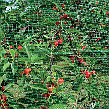 Захисна сітка від птахів Nortene зелена 4 х 100 м (Intermas Birdnet, Угорщина), фото 4