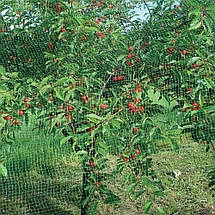 Захисна сітка від птахів Nortene зелена 4 х 100 м (Intermas Birdnet, Угорщина), фото 5