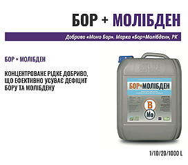 Бор + Молібден 10 л – концентроване рідке добриво для усунення дефіциту бору та молібдену