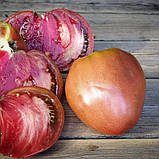 Насіння томату Тундра (Tundra) 15 шт, фото 2