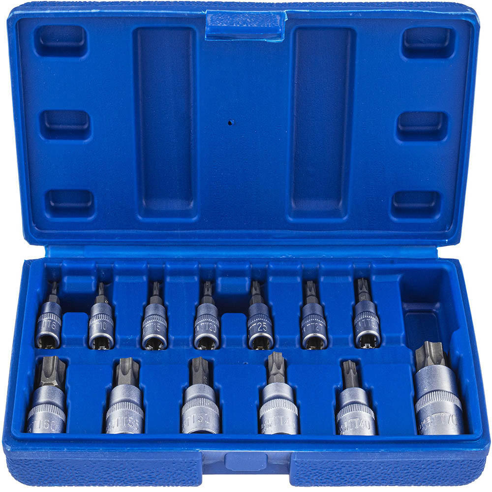Набір біт TORX впресованих в головку 1/4″/ 3/8″/1/2″ (Т8-Т70) 13 шт. Vorfal V08407, фото 1