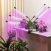 Світлодіодна настільна фітолампа на підставці з 5 лампами, фото 7