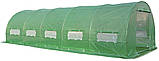 Теплиця садова - парник Focus Garden 3x8x2 м (подвійні двері) зелена, фото 3