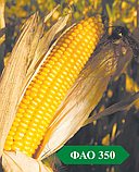 Насіння кукурудзи середньостиглий гібрид АНДРЕС (ФАО 350) Арт-Агро 2025 рік, фото 2