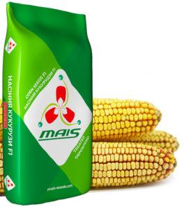 Насіння кукурудзи ранньостиглий гібрид ДМС Юніті (ФАО 170), МAIS 2024 рік спецпропозиція!!!