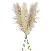 Трава пампасна Біла 135см M-9150