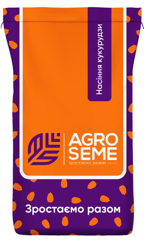 Насіння кукурудзи середньоранній гібрид ДБ Хотин (ФАО 250) (AGRO SEME, Україна), 2024 рік