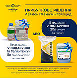 Насіння соняшнику гібрид Грут (110-115 дн)  під Євро-Лайтнінг , СТАНДАРТ, ТОВ "ЭВРОСЕМ", 2024 рік, фото 6
