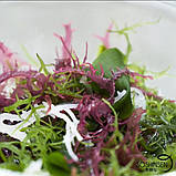 Водорості Тасака, Водоросли Тасака, Tasaka seaweed,100г, Kaneryo, Ч, фото 3