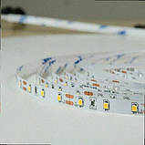 Стрічка Світлодіодна Professional BPS-G3-12-2835-60-WW-20 теплий білий, негерметична, 1м BPS-G3-12-2835-60-WW-20 BIOM, фото 4