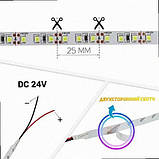 Стрічка Світлодіодна Professional BPS-G3-24-2835-120-NW-20 нейтральний білий, негерметична, 1м BPS-G3-24-2835-120-NW-20 BIOM, фото 4