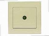 TV Розетка кінцева Rain крем (без рамки) 703-0388-130 LEZARD, фото 2