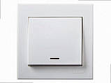 Вимикач із підсвічуванням Rain білий (без рамки) 703-0288-111 LEZARD, фото 2