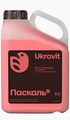 Протруйник Паскаль 5л