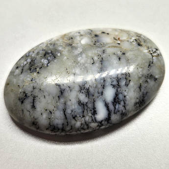 Дендроопал - кабошон білий камінь для колекції для створення прикрас 43,5 ct