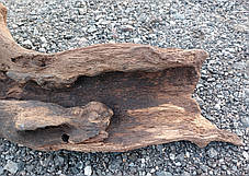 Корінь, корч для декору, творчості, рукоділля 550х170х200мм., фото 3