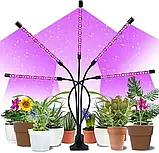 Лампа з гнучкою ножною для домашніх рослин світлодіодна з таймером 5 ламп, фото 2