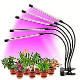 Лампа з гнучкою ножною для домашніх рослин світлодіодна з таймером 5 ламп, фото 5