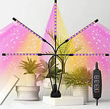 Настільна світлодіодна фітолампа на підставці з 5 лампами, фото 8