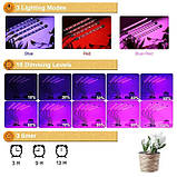 Настільна світлодіодна фітолампа на підставці з 5 лампами, фото 9