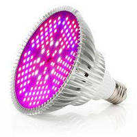 Фитоосвещение