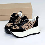 Кросівки на масивній підошві лео принт гарне поєднання кольорів, фото 2