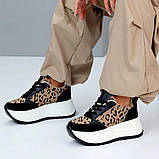 Кросівки на масивній підошві лео принт гарне поєднання кольорів, фото 4