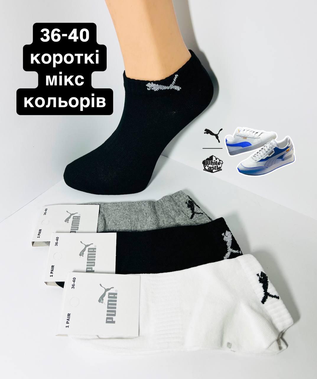 Шкарпетки демісезонні 12 пар спортивні короткі з бавовни Puma розмір 36-40 мікс кольорів