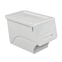 Контейнер для зберігання 45.5х28.5х31см Білий SW-00002421