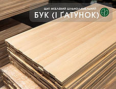 Меблевий щит з бука цільноламельний