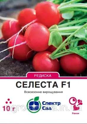 Редька Селеста F1, 10 г   Спектр сад  / Enza Zaden