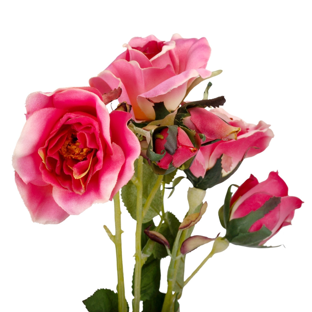 Камелія рожева, 75 см ELISEY, фото 1