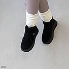 Жіночі чорні зимові черевички з хутром Тедді, фото 4