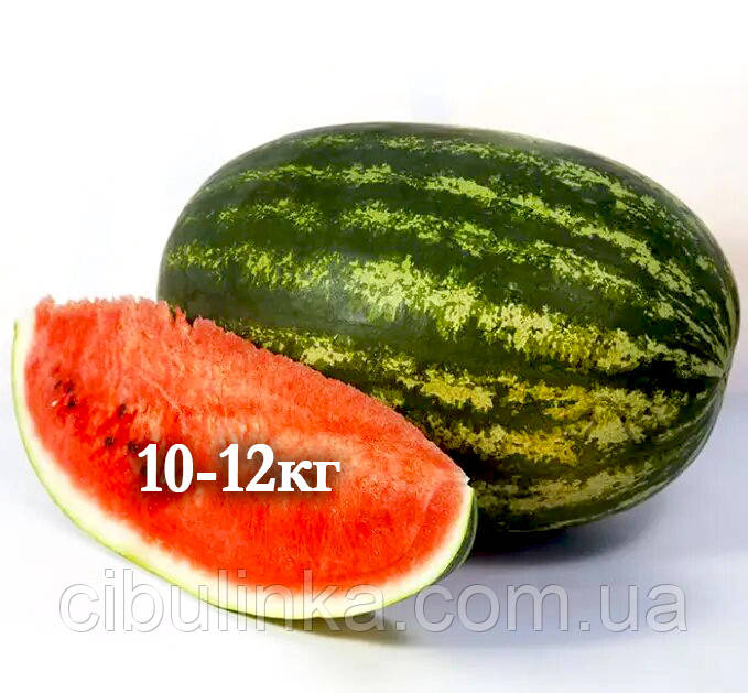 Кавун Балу F1 (KS 165) Kitano Seeds/Японія 10 шт (zip-paket)