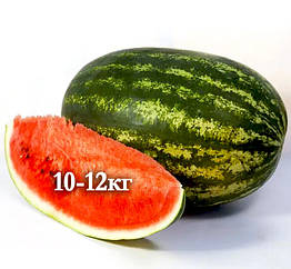 Кавун Балу F1 (KS 165) Kitano Seeds/Японія 10 шт (zip-paket)