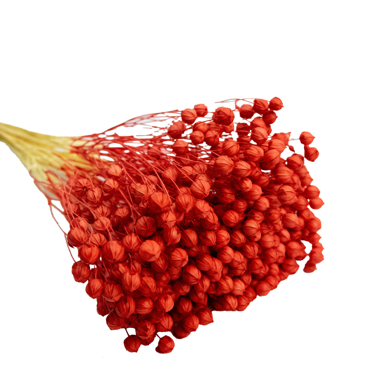 Льон фарбований (червоний ~ 50 г)