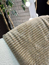 Неймовірно м'який та оксамитовий Плед 200х220 Тканина Плюш, фото 3